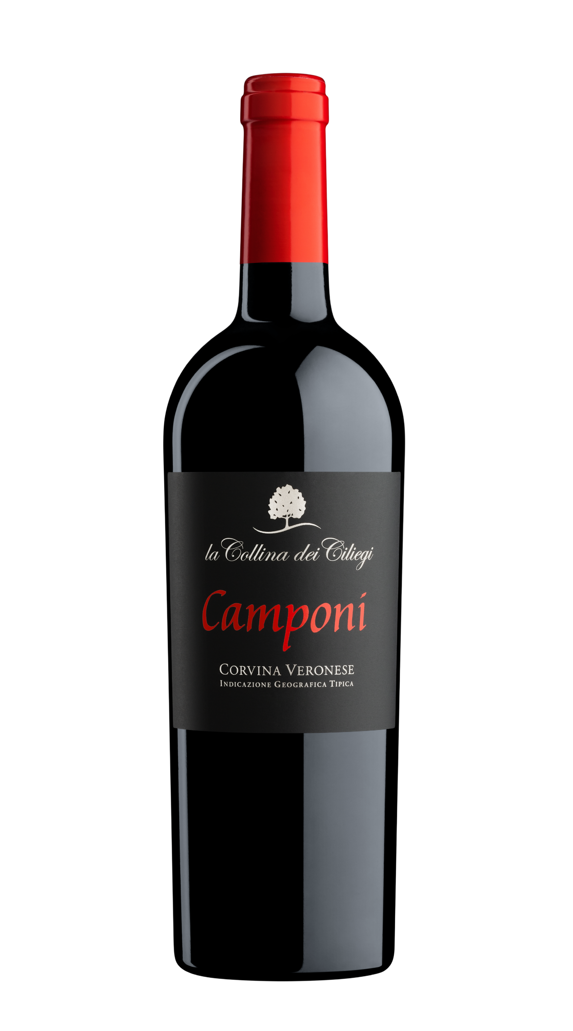 Corvina 'Camponi' Collina dei Ciliegi