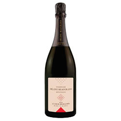 Champagne Extra Brut Blanc de Blancs Au Cœur des Racines