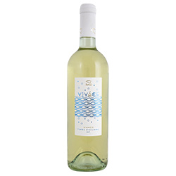 Terre Siciliane Bianco Vivace