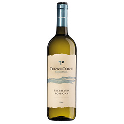 Terre Forti Radici d'Italia Romagna DOC Trebbiano 2024 0,75 ℓ