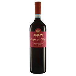 Ilatium Morini Campo dei Ciliegi Valpolicella Superiore Ripasso DOC 2019 0,75 ℓ
