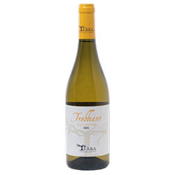 Colli Martani Trebbiano