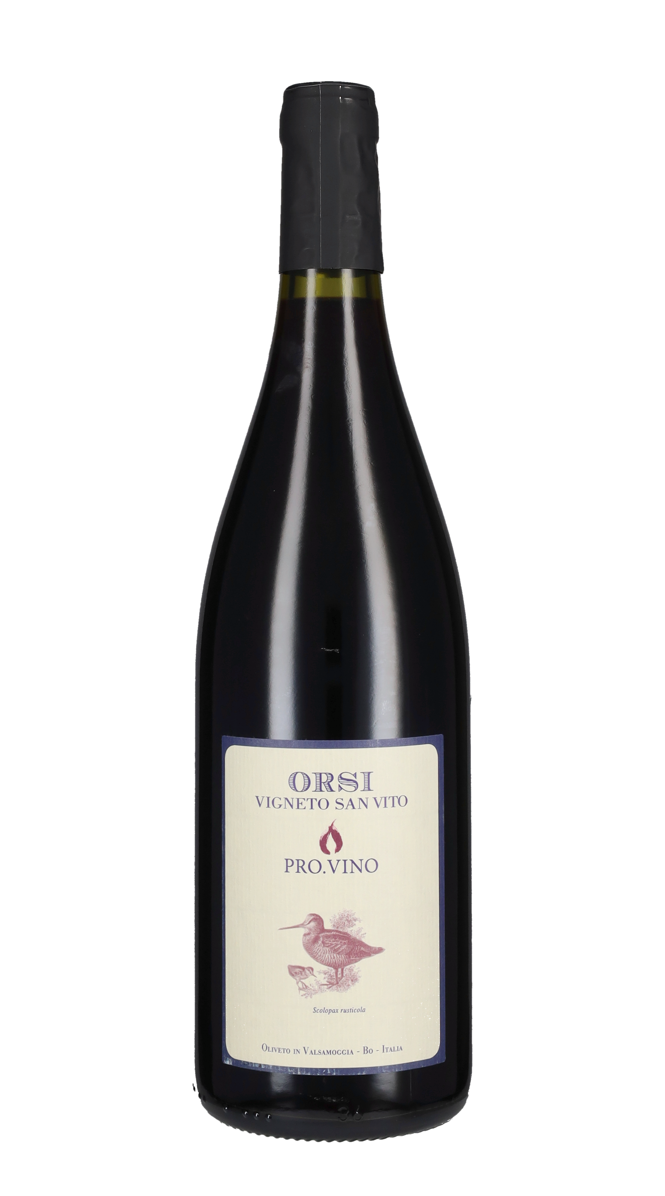 Pro.Vino' Orsi - Vigneto San Vito