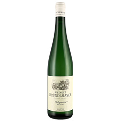 Brundlmayer Riesling Zobinger Heiligenstein Kamptal DAC 2021 0,75 ℓ