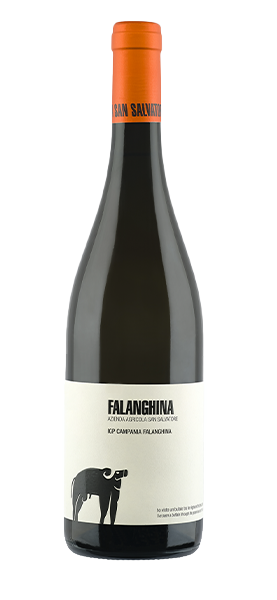 Campania Falanghina IGP