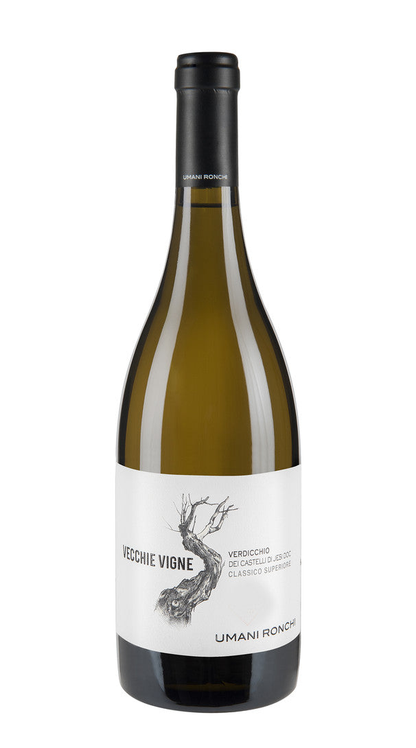 Verdicchio Castelli di Jesi Superiore 'Vecchie Vigne'