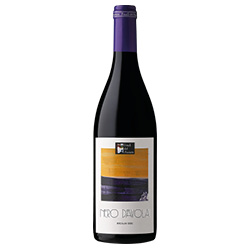Feudi del Pisciotto Colori di Sicilia Sicilia DOC Nero d'Avola 2024 0,75 ℓ