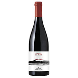 Torre Mora Cauru Etna Rosso DOC 2023 0,75 ℓ