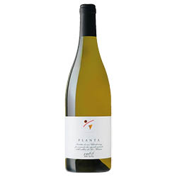 Venezia Giulia Chardonnay Planta