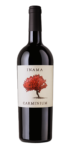 "Carminium" Carmenere Colli Berici DOC 2022