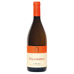 Caggiano Campania Falanghina IGT 2023 0,75 ℓ