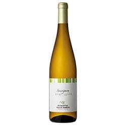 Cantina Valle Isarco Sauvignon Südtirol - Alto Adige DOC 2025 0,75 ℓ