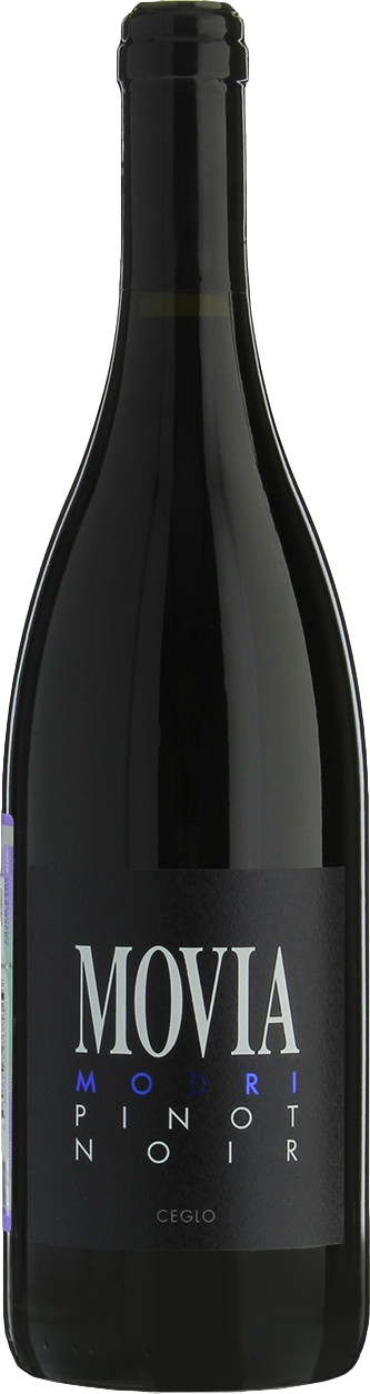 Movia Modri Pinot Noir 2023