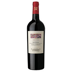 Terredora Corte di Giso Irpinia DOC Aglianico 2019 0,75 ℓ