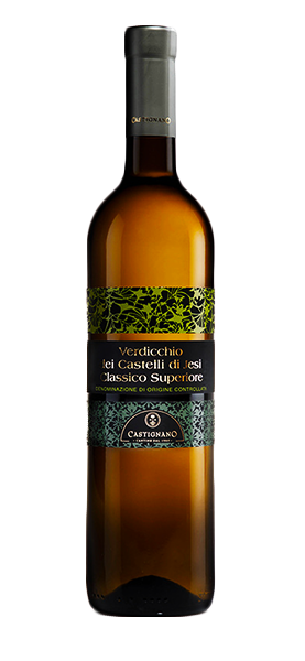 Verdicchio dei Castelli di Jesi DOC Classico Superiore 2024