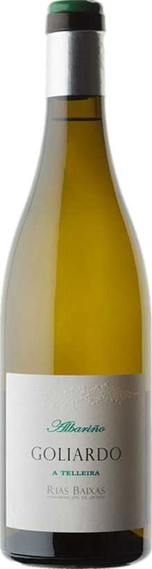 Bodegas Forjas del Salnes Goliardo A Telleira Albarino 2023