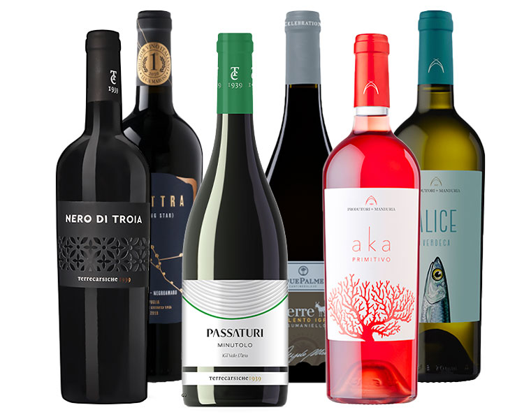 Vieni a ballare in Puglia