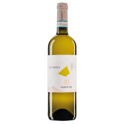 Verdicchio dei Castelli di Jesi Classico Superiore Macrina