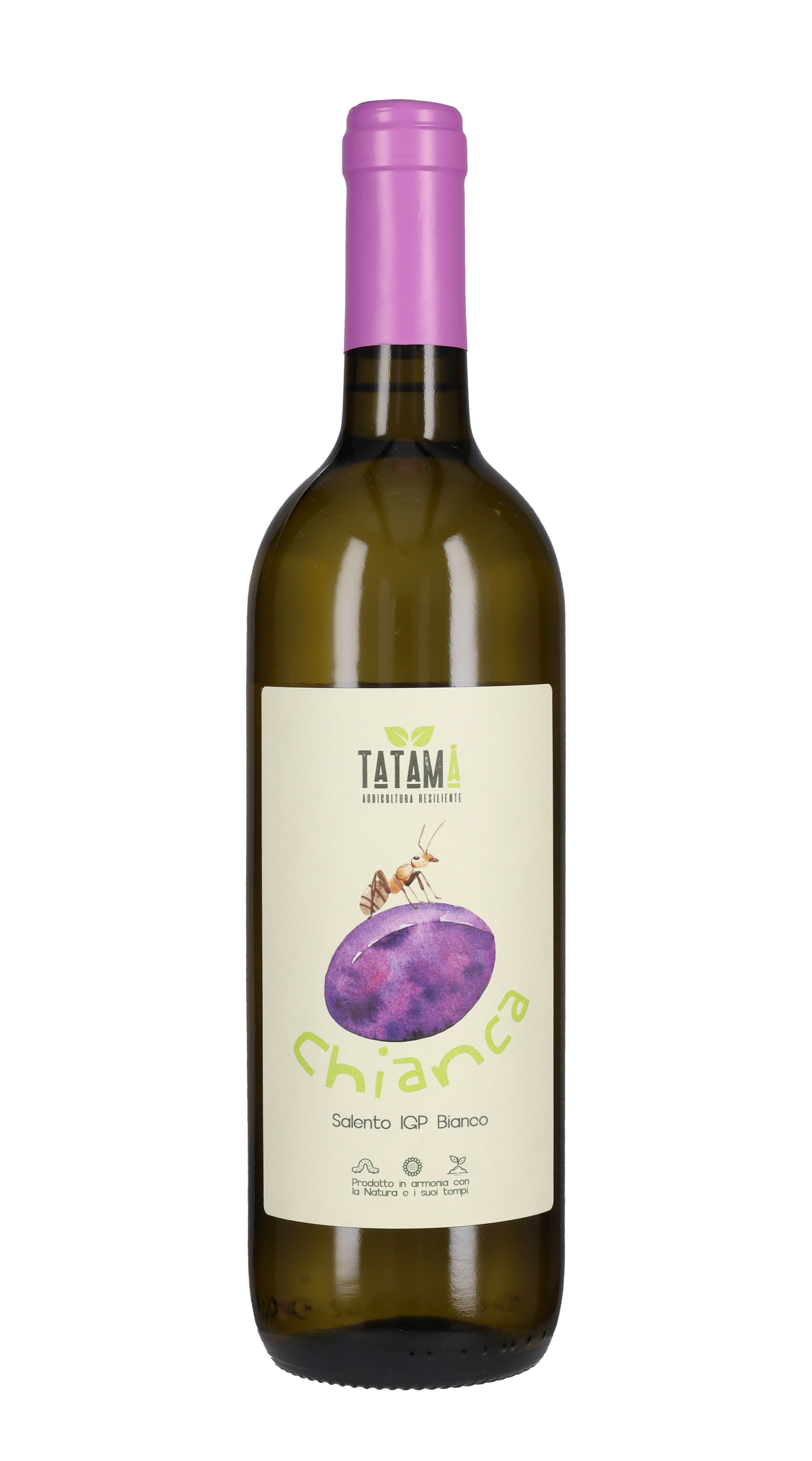Salento Bianco 'Chianca' Tatamà