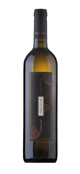 Grechetto Umbria IGT 2024