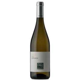 Sauvignon Collio DOC 2024
