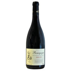 Bourgogne Pinot Noir