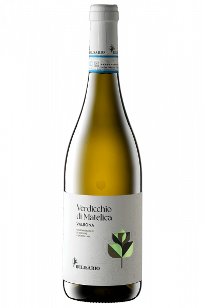 Verdicchio di Matelica Valbona