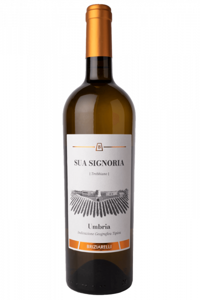 Trebbiano Sua Signoria Cantine Briziarelli 2024