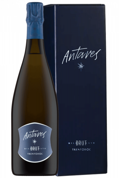 Magnum Trentodoc Brut Antares Cantina Toblino