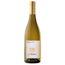 Südtirol - Alto Adige Weissburgunder Pinot Bianco