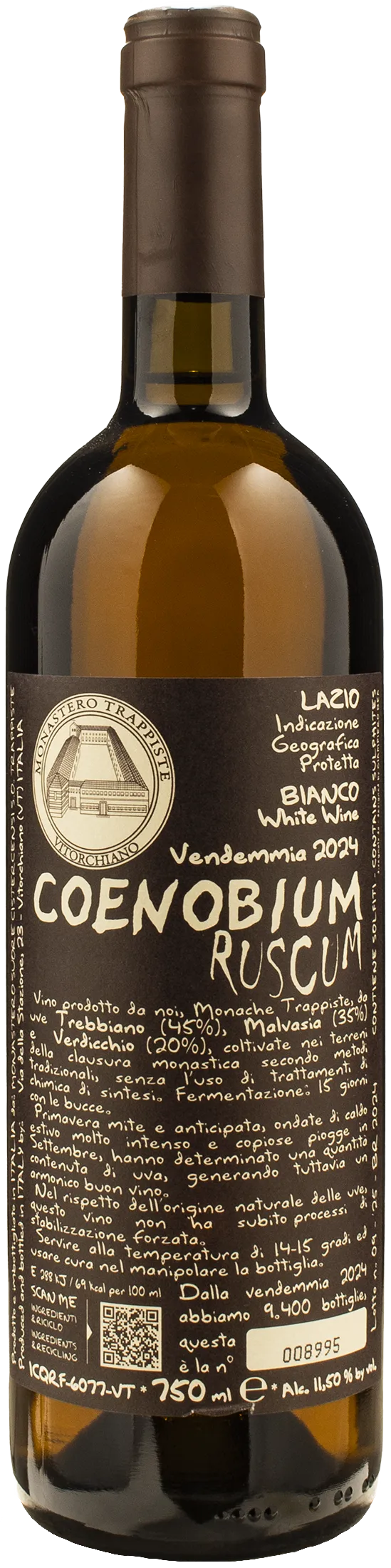 Coenobium Ruscum