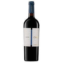 Salento Primitivo