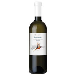 Bolgheri Bianco