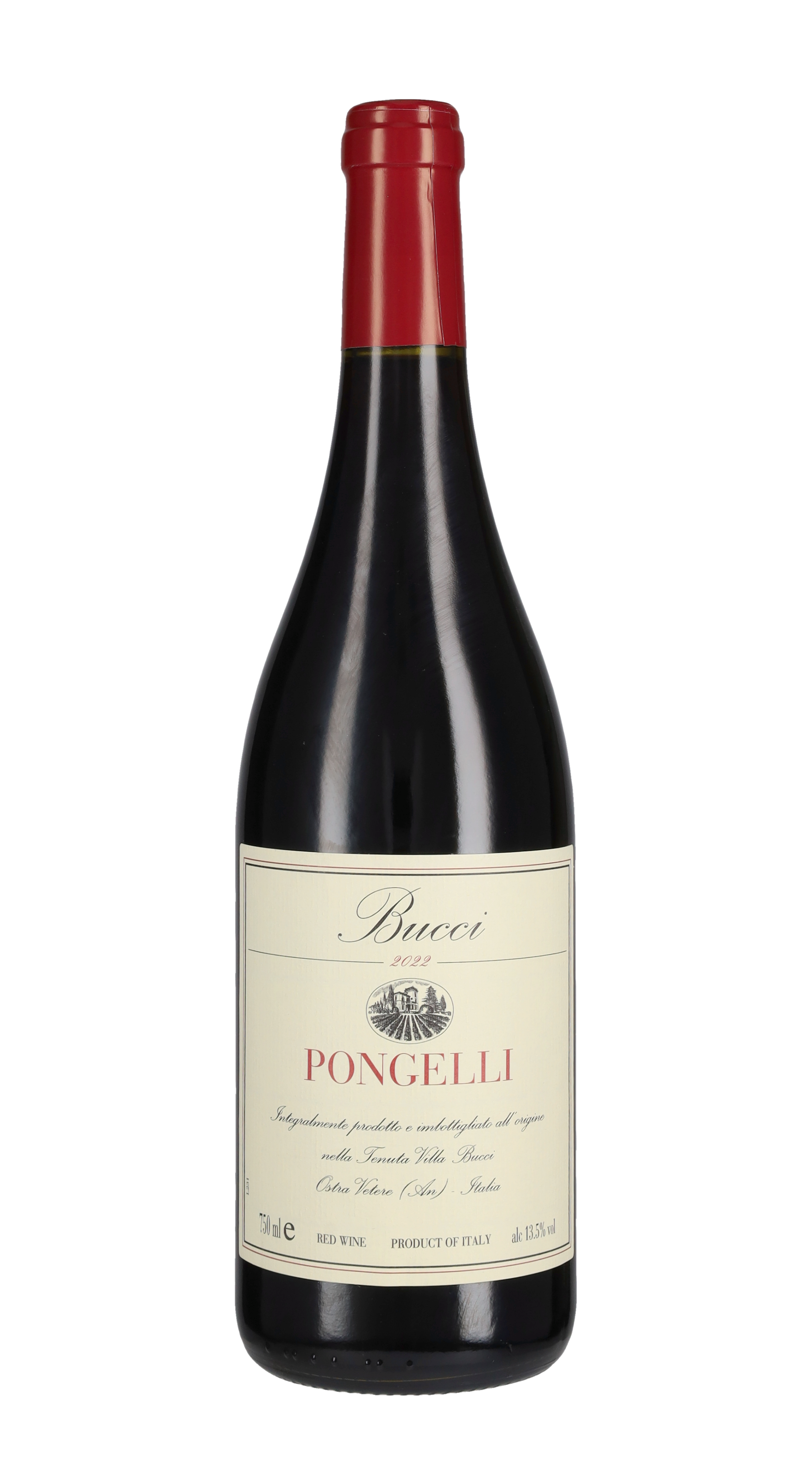 Rosso Piceno 'Pongelli'