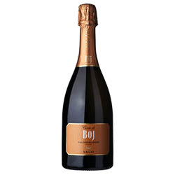 bbiadene Prosecco Superiore Brut Cuvée di Boj