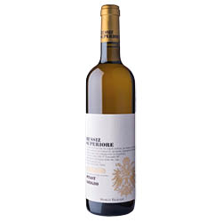 Collio Pinot Grigio