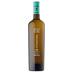 Can Rich Blanc D’Àmfora Vino de la Tierra de Ibiza IGP 2023 0,75 ℓ
