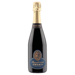 Franciacorta Brut Satèn Millesimato Magnificentia