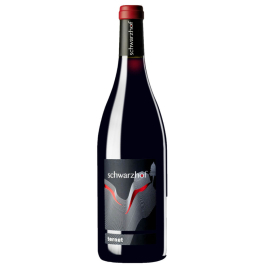 Teroldego Ternet Schwarzhof IGT