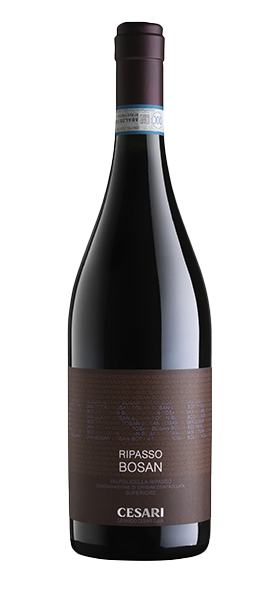 Valpolicella Ripasso DOC Superiore "Bosan" 2019