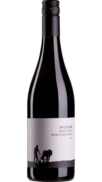 Pinot Noir Palatinate