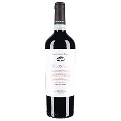 Tenuta Sant'Antonio Télos Il Rosso Valpolicella Superiore DOC 2020 0,75 ℓ