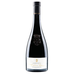 Südtirol - Alto Adige Sauvignon Blanc Contessa Lene