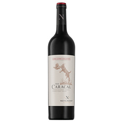 Stellenbosch IG The Caracal