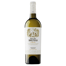 Torres Pazo das Bruxas Rías Baixas DO Albariño 2024 0,75 ℓ