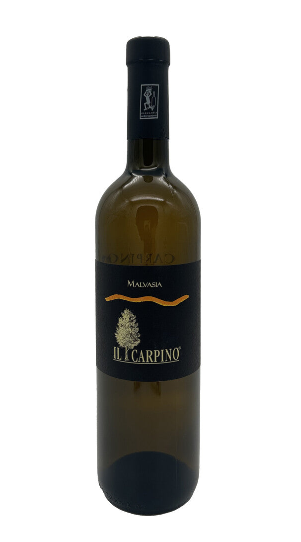 Malvasia