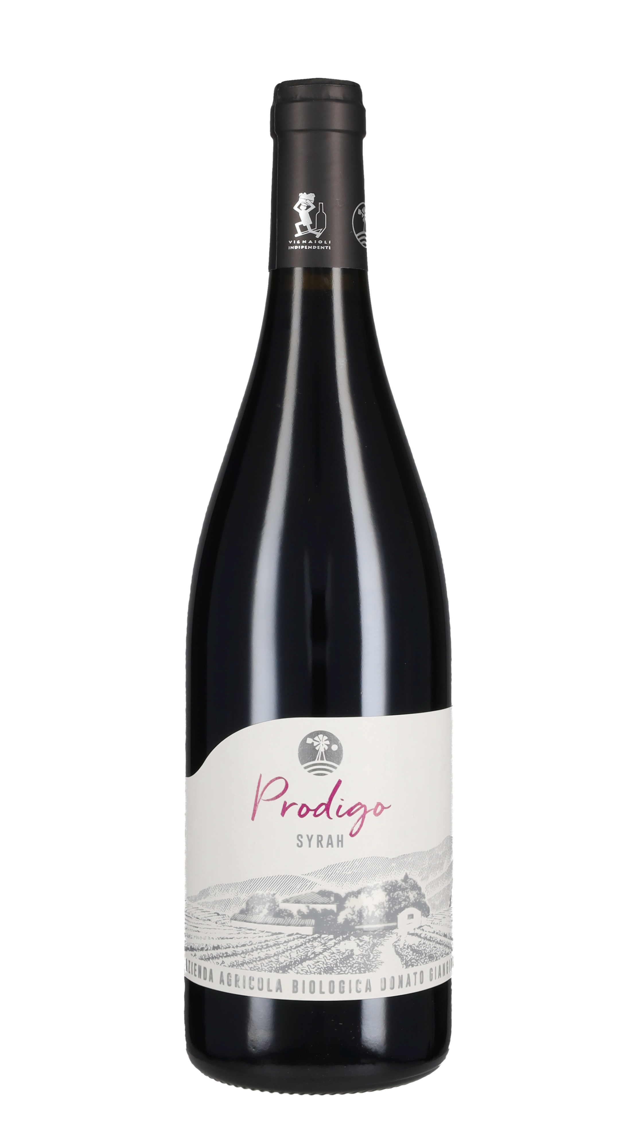 Syrah 'Prodigo' Donato Giangirolami