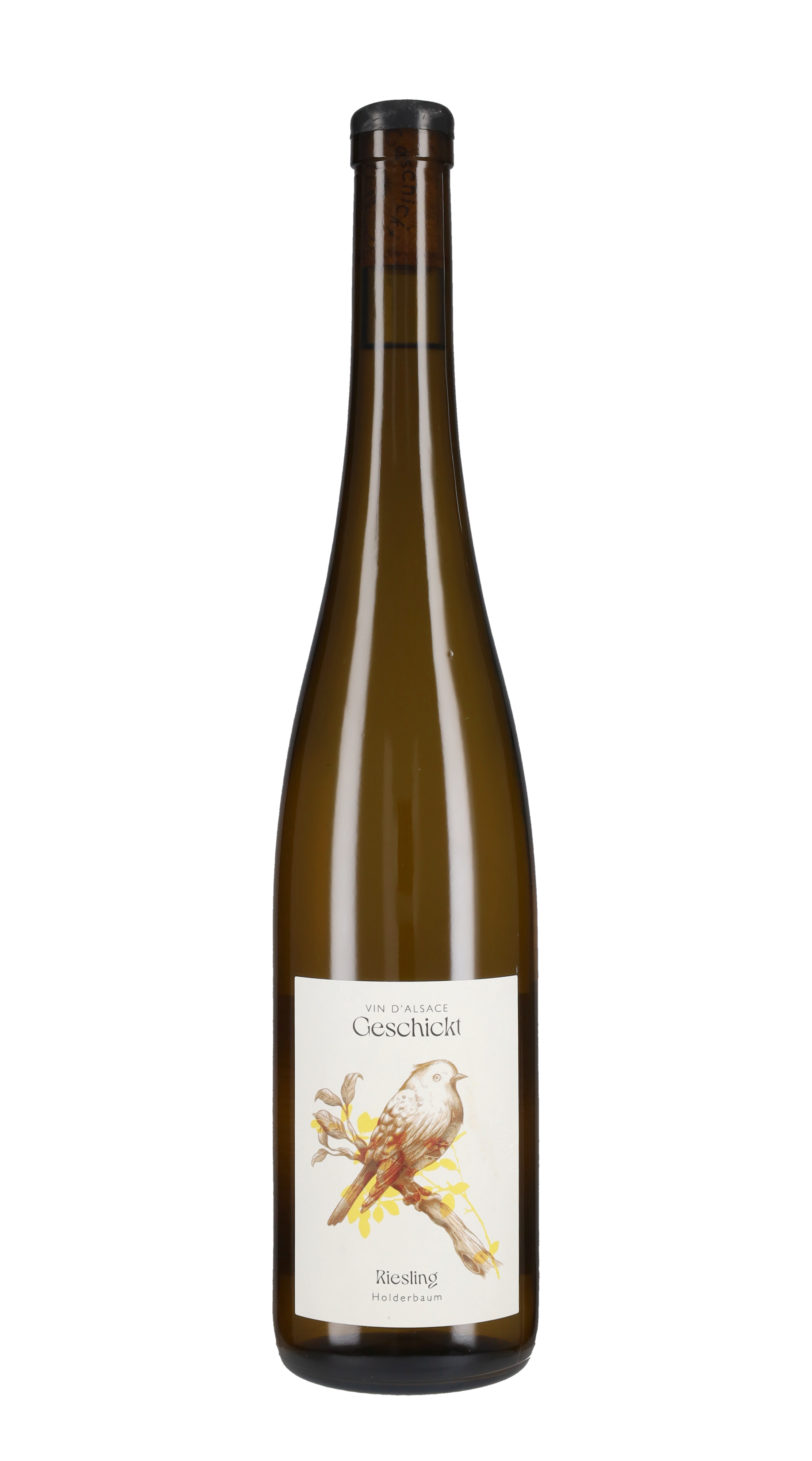 Riesling '21/22' Geschickt