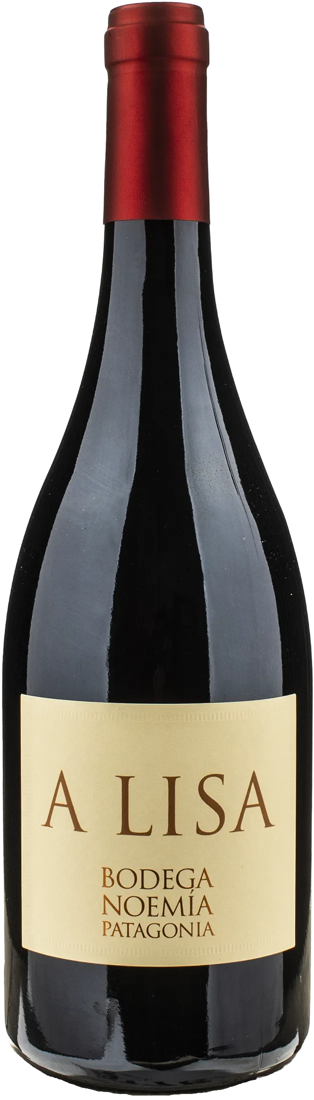 Patagonia Malbec A Lisa