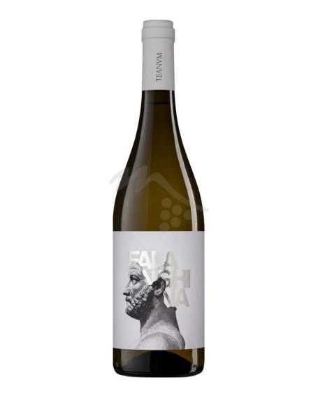 Favugne Falanghina Puglia IGP Cantine Teanum